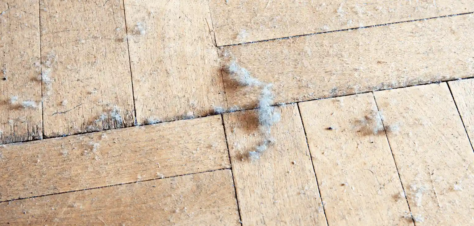 Dust Testing in Maine