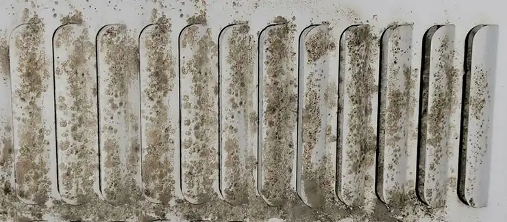 mold buildup on HVAC vent caused by high indoor humidity and poor airflow