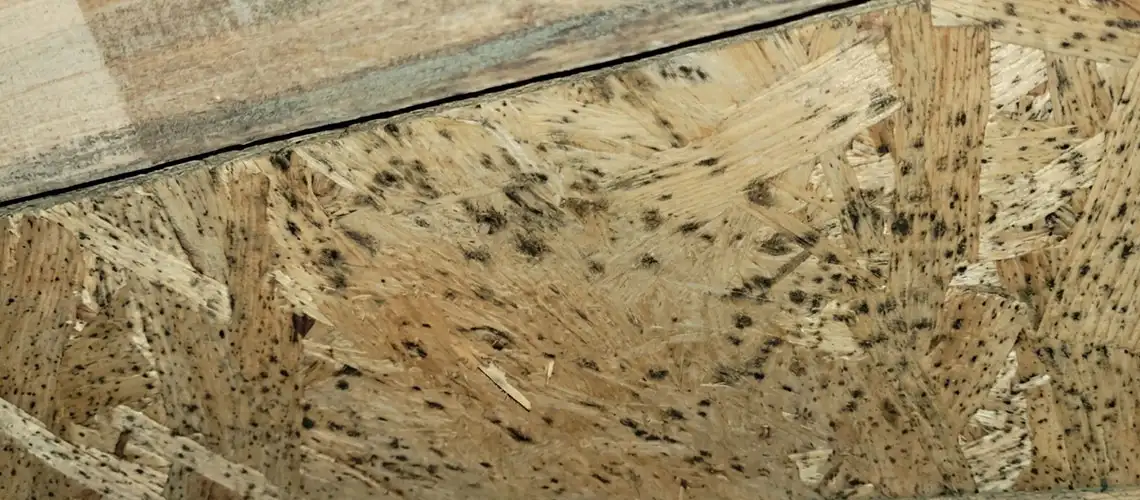 mold growth on wood surface caused by moisture buildup inside wall cavity