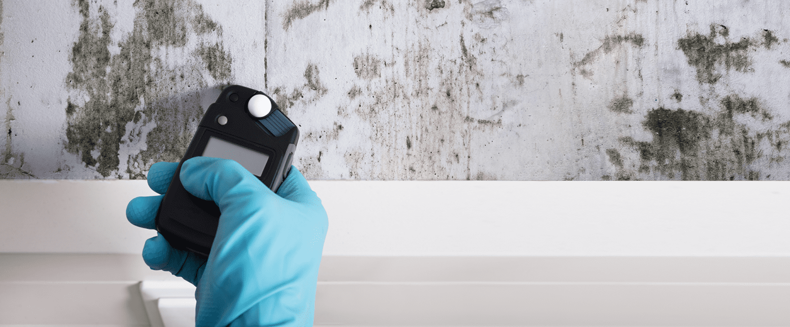 Certified inspector performing mold testing services in Maine