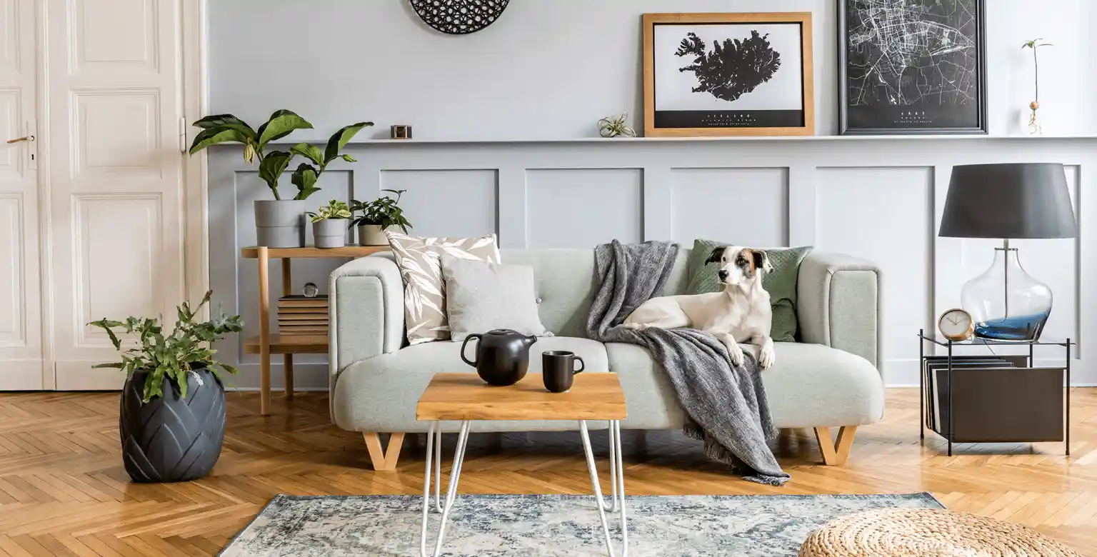 residential air quality services